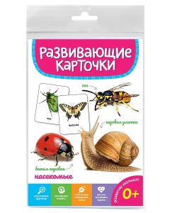 Развивающие Карточки. Насекомые