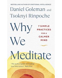 Why We Meditate
